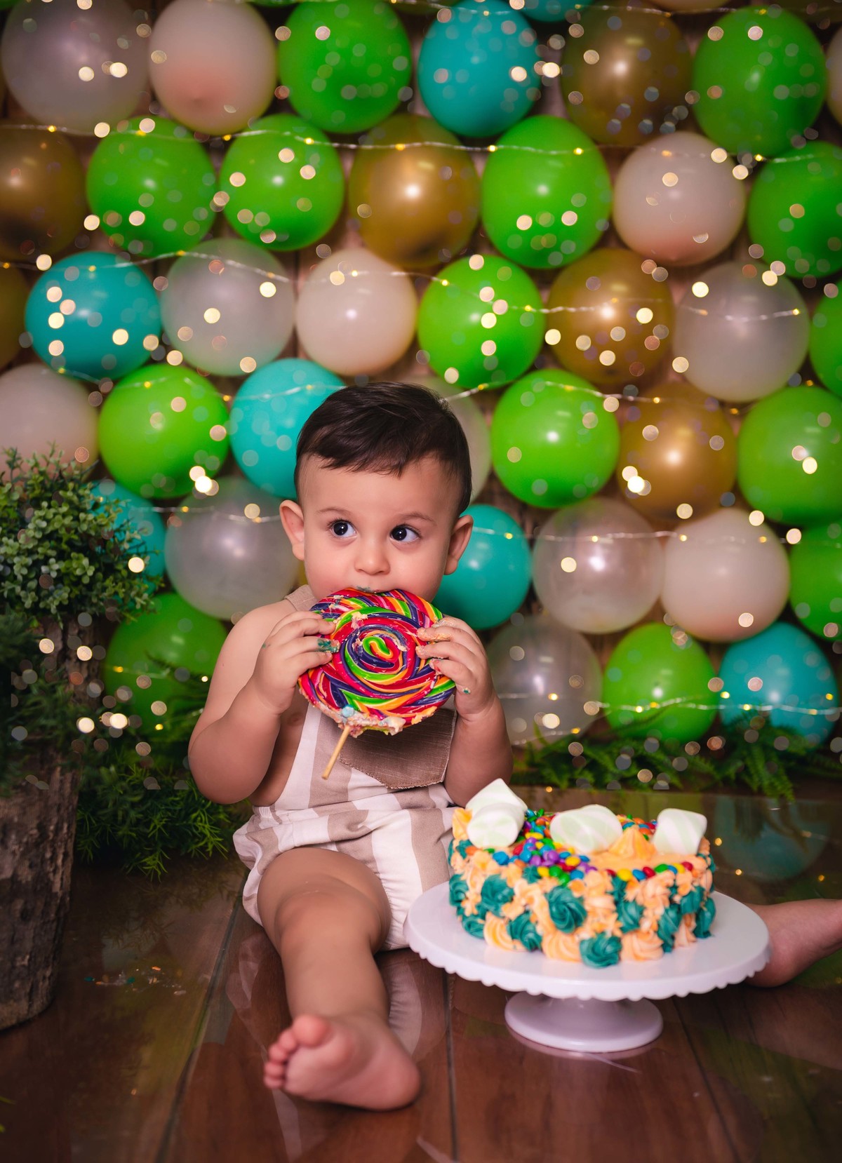 Nyne Costa - Pro Imagem Fotografias - Sinop - Fotografia - Smash - Smash the cake