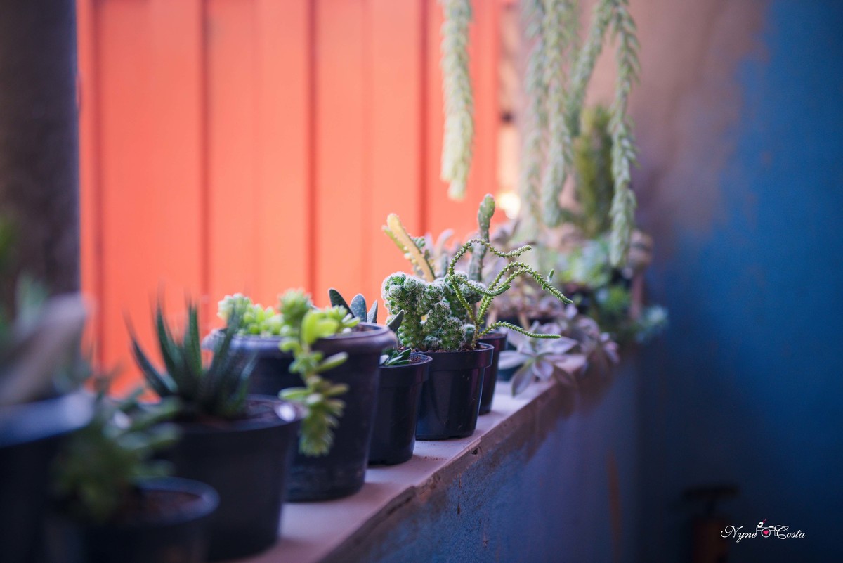 Nyne Costa - Pro Imagem Fotografias - Sinop - Fotografia - Ensaios Fotográficos - Pre casamento - casamento