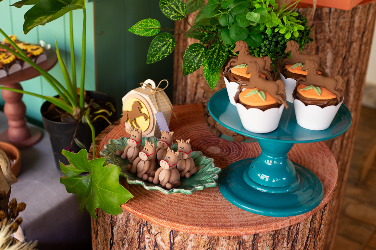 fotografia-foto-infantil-aniversario-evento-uberaba-minas-festa