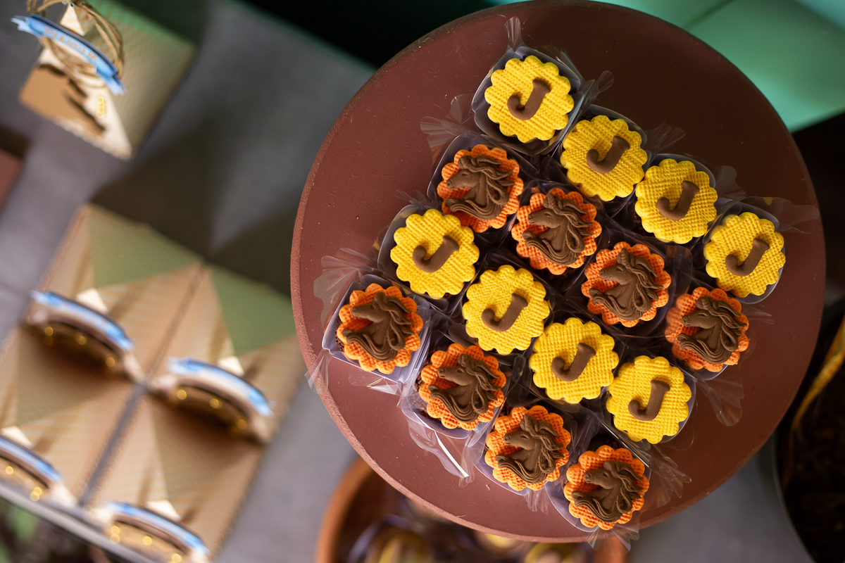 fotografia-foto-infantil-aniversario-evento-uberaba-minas-festa