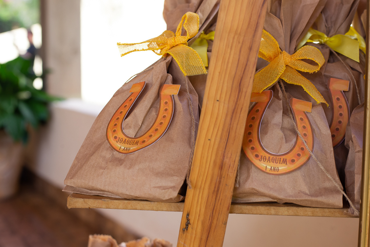 fotografia-foto-infantil-aniversario-evento-uberaba-minas-festa