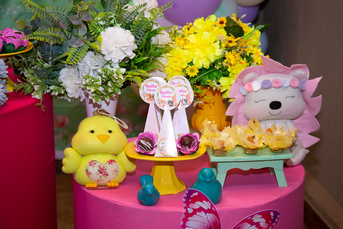 aniversario-infantil-foto-fotografia-uberaba-criança-eventos-menina