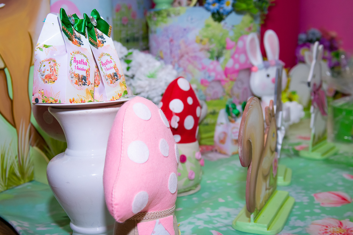 aniversario-infantil-foto-fotografia-uberaba-criança-eventos-menina