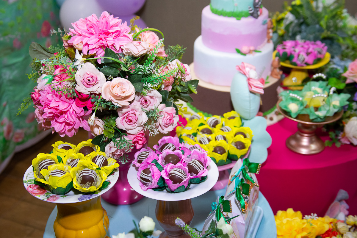 aniversario-infantil-foto-fotografia-uberaba-criança-eventos-menina