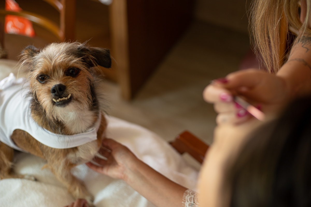 casamento-noivas-noivo-evento-foto-fotografia-uberaba-minas-sorriso-casal-festa