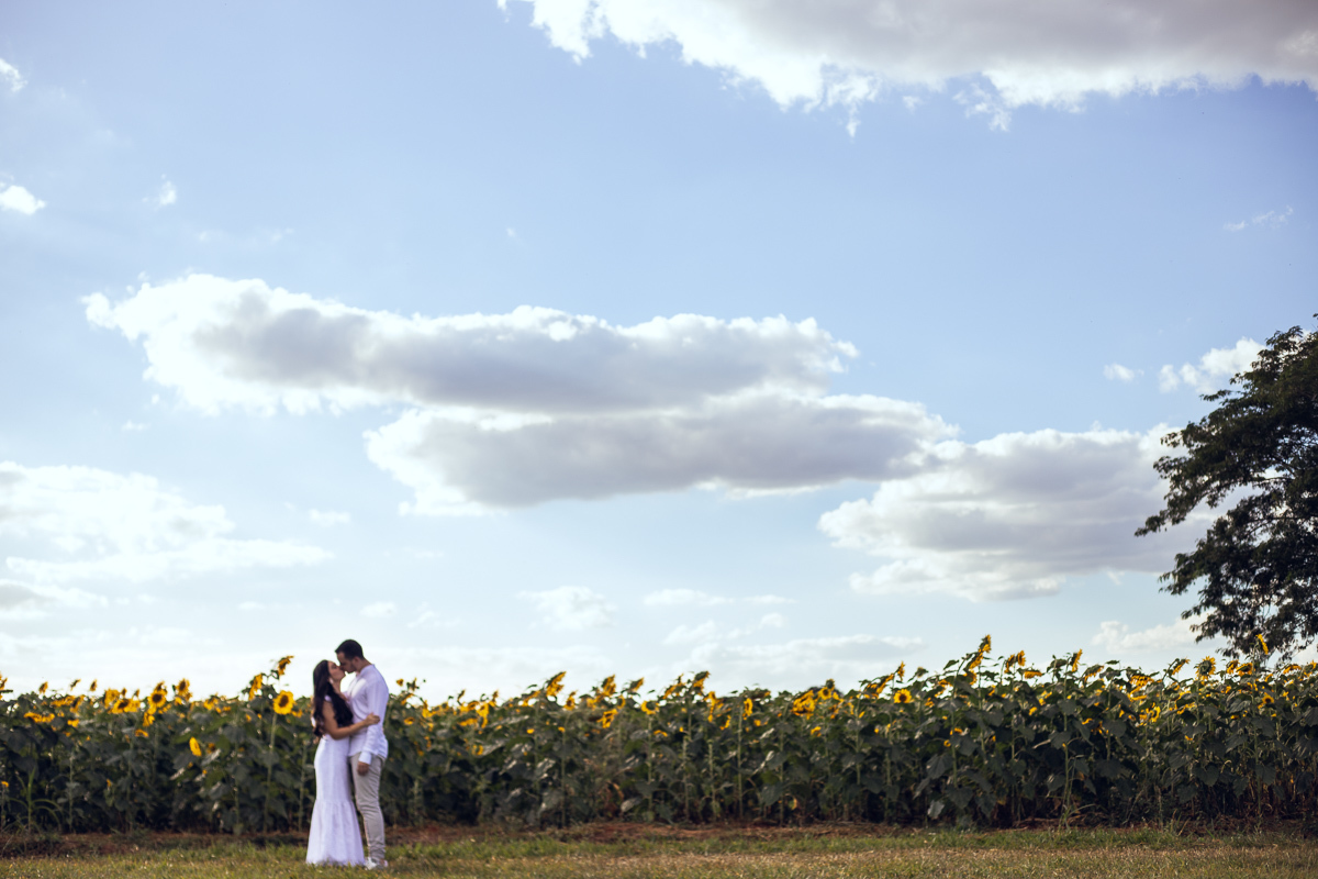 foto-fotografia-ensaio-precasamento-prewedding-casamento-noivos-noivas-wedding-natureza-campo-uberaba-minas