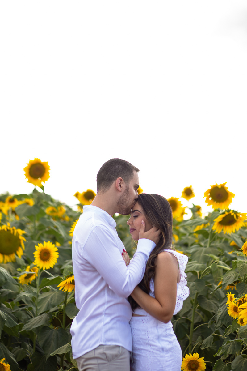 foto-fotografia-ensaio-precasamento-prewedding-casamento-noivos-noivas-wedding-natureza-campo-uberaba-minas