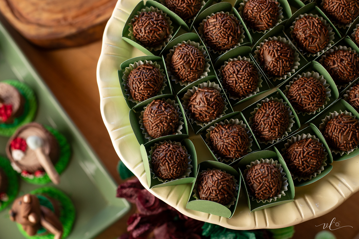 foto-fotografia-eventos-aniversario-infantil-bebe-uberaba-minas