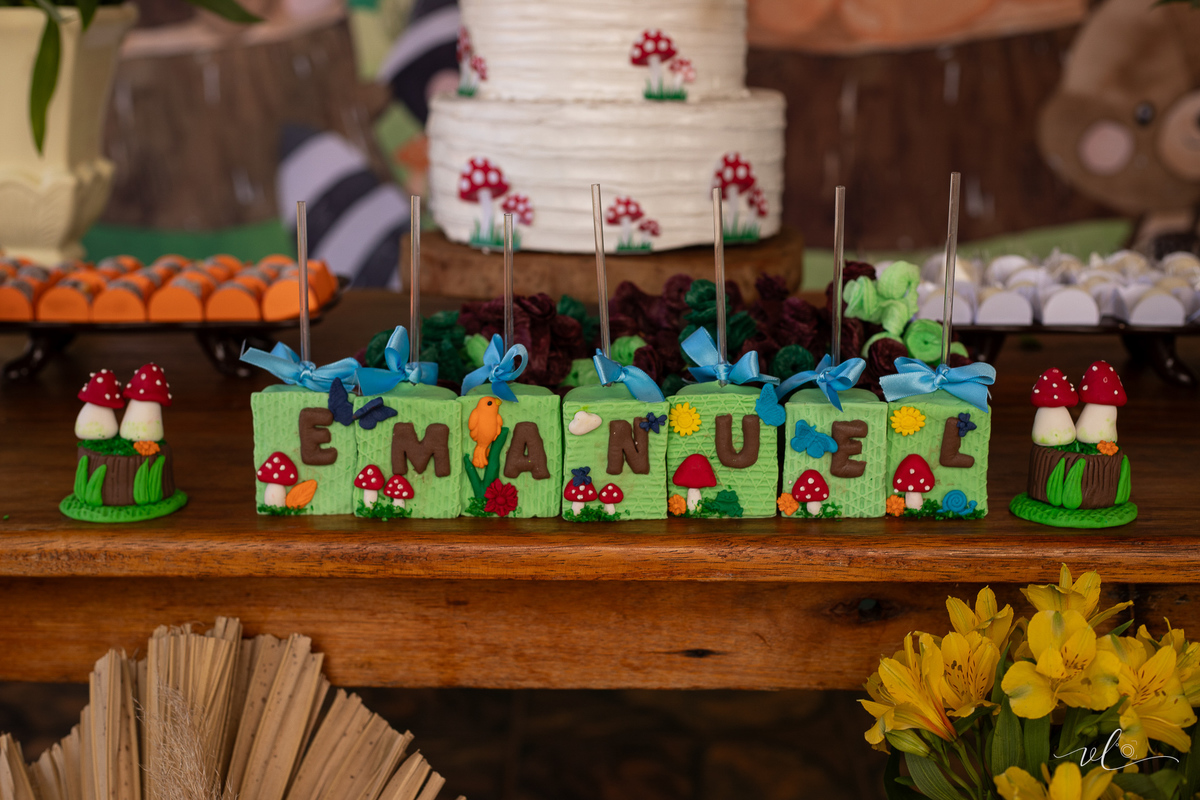 foto-fotografia-eventos-aniversario-infantil-bebe-uberaba-minas