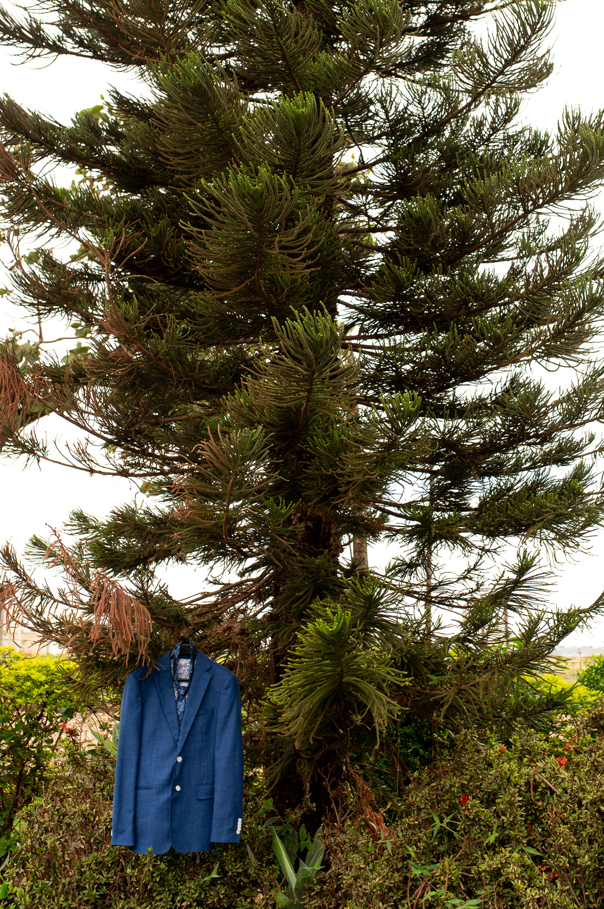 foto-fotografia-evento-casamento-ensaio-precasamento-prewedding-casamento-noivos-noivas-wedding-natureza-campo-uberaba-minas-igreja-cerimonia-vestido-festa