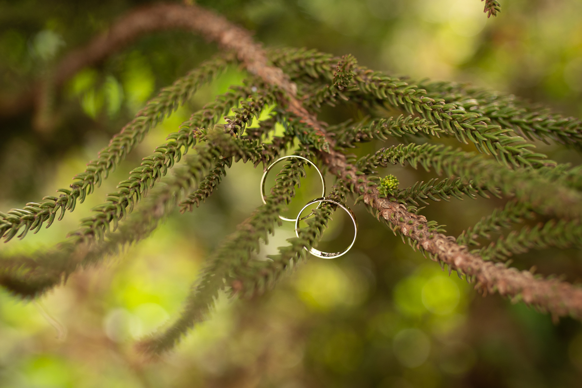 foto-fotografia-evento-casamento-ensaio-precasamento-prewedding-casamento-noivos-noivas-wedding-natureza-campo-uberaba-minas-igreja-cerimonia-vestido-festa