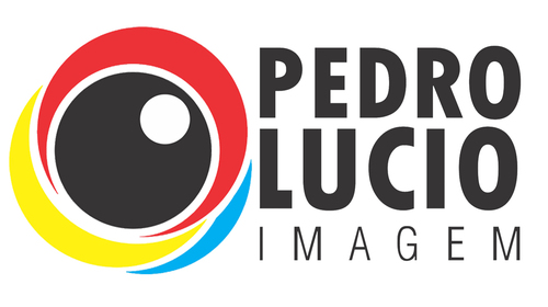 Logotipo de Pedro Lucio da Silva