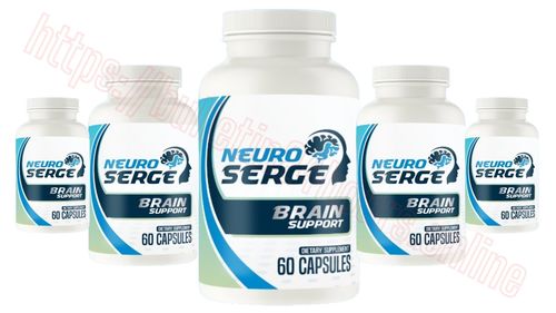 Logotipo de NeuroSergeIL