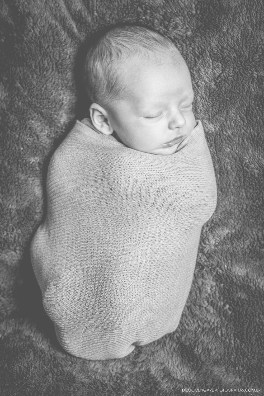 Newborn Santa catarina