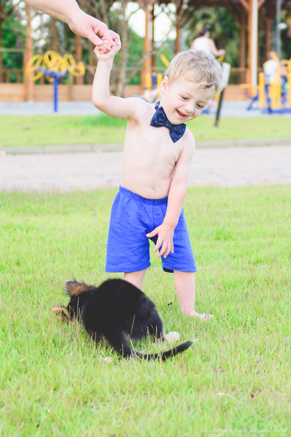 ensaio brincando cachorro