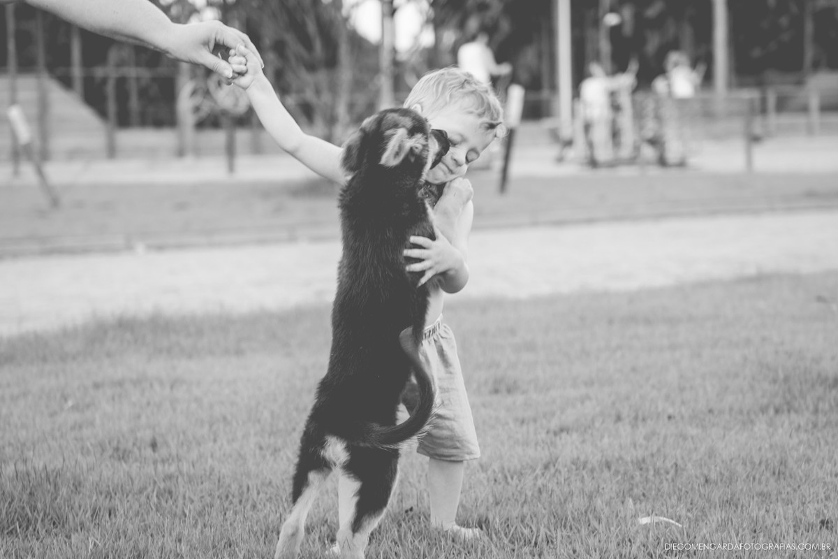 ensaio com seu pet