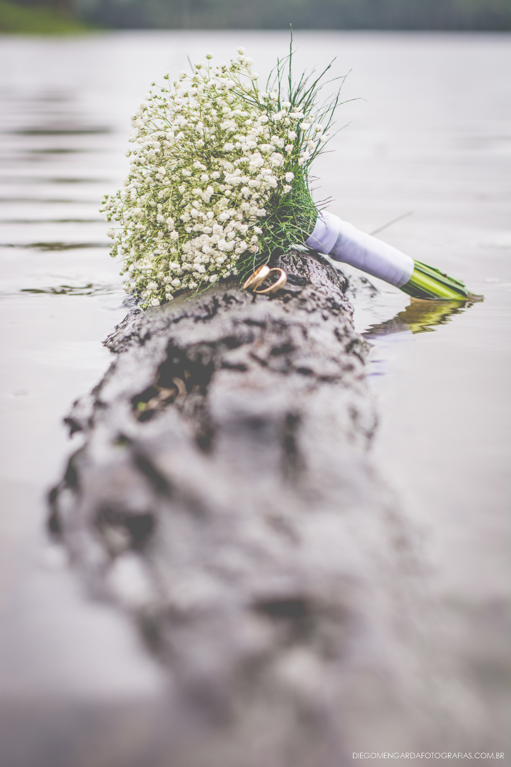 Pré Wedding Casamento Blumenau