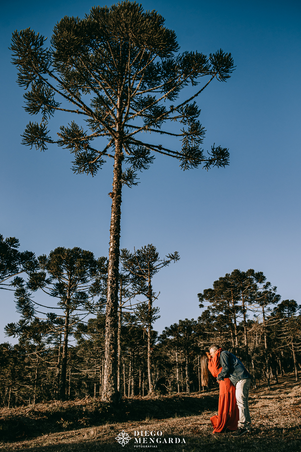 pré wedding em santa Catarina, fotografo casamento Itajaí, fotografo casamento Timbó, fotografo casamento Blumenau, fotografo casamento santa catarina, casamento em Pomerode, pré casamento Itajaí, pré wedding rio negrinho, casamento rio negrinho,