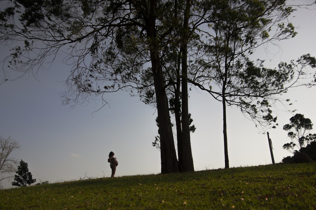 Book Gestante em fazenda