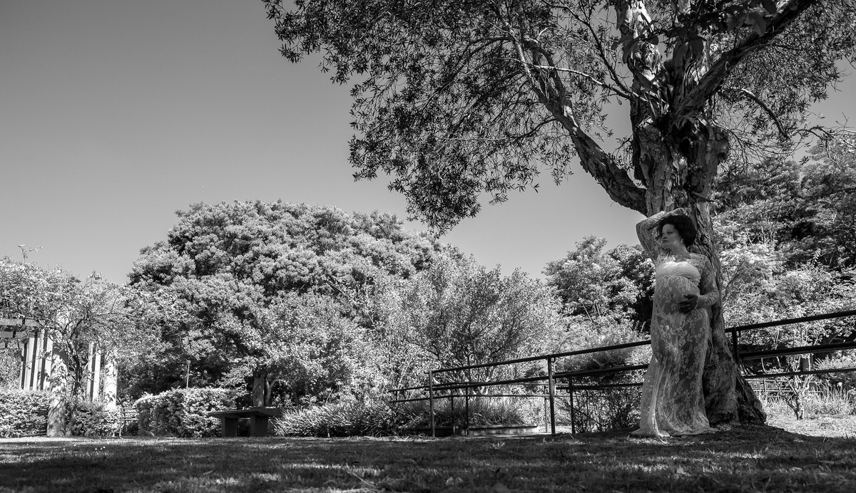 Ensaio gestante Parque villa lobos