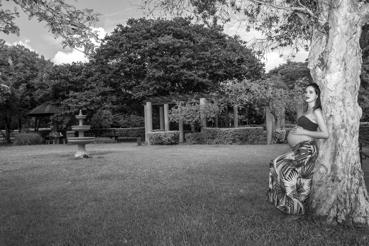 Ensaio gestante externo