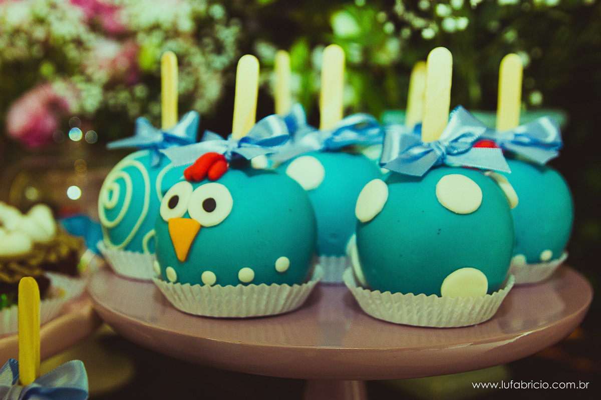 aniversario-01ano-manuela-lufabricio-fotografia