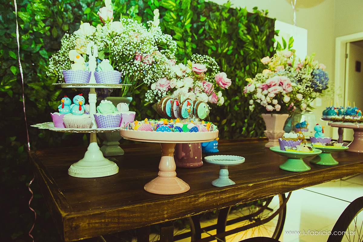 aniversario-01ano-manuela-lufabricio-fotografia