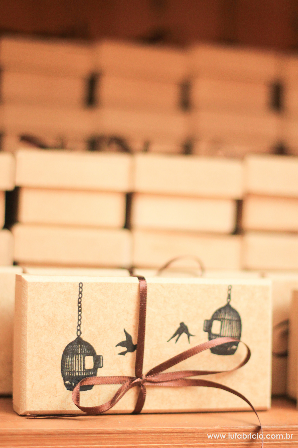 casamento-festivo-lufabricio-fotografia (14)