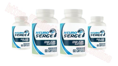 Logotipo de NeuroSergeInIL