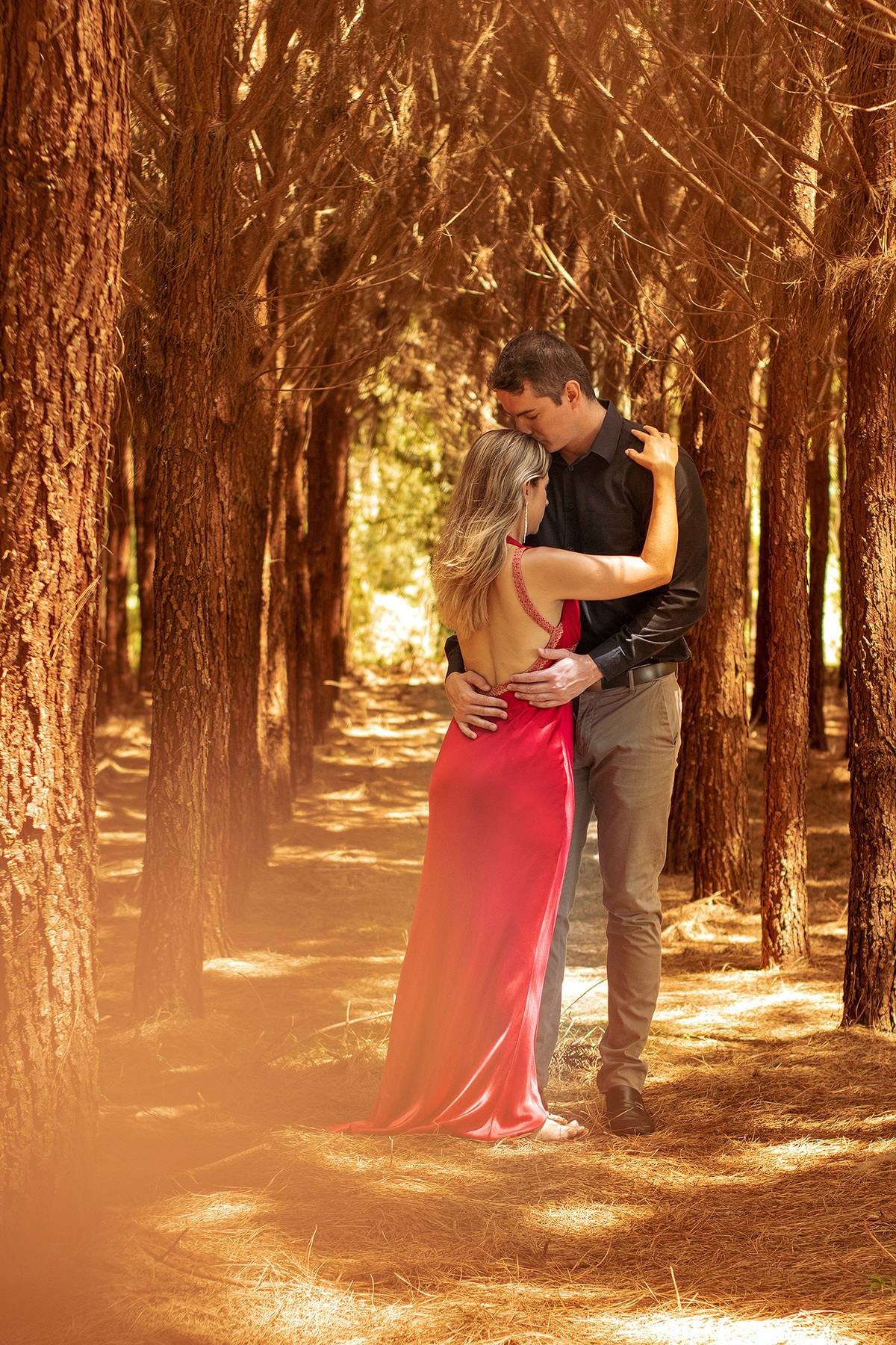 Ensaio pré-casamento plantação de pinus Mallet-PR