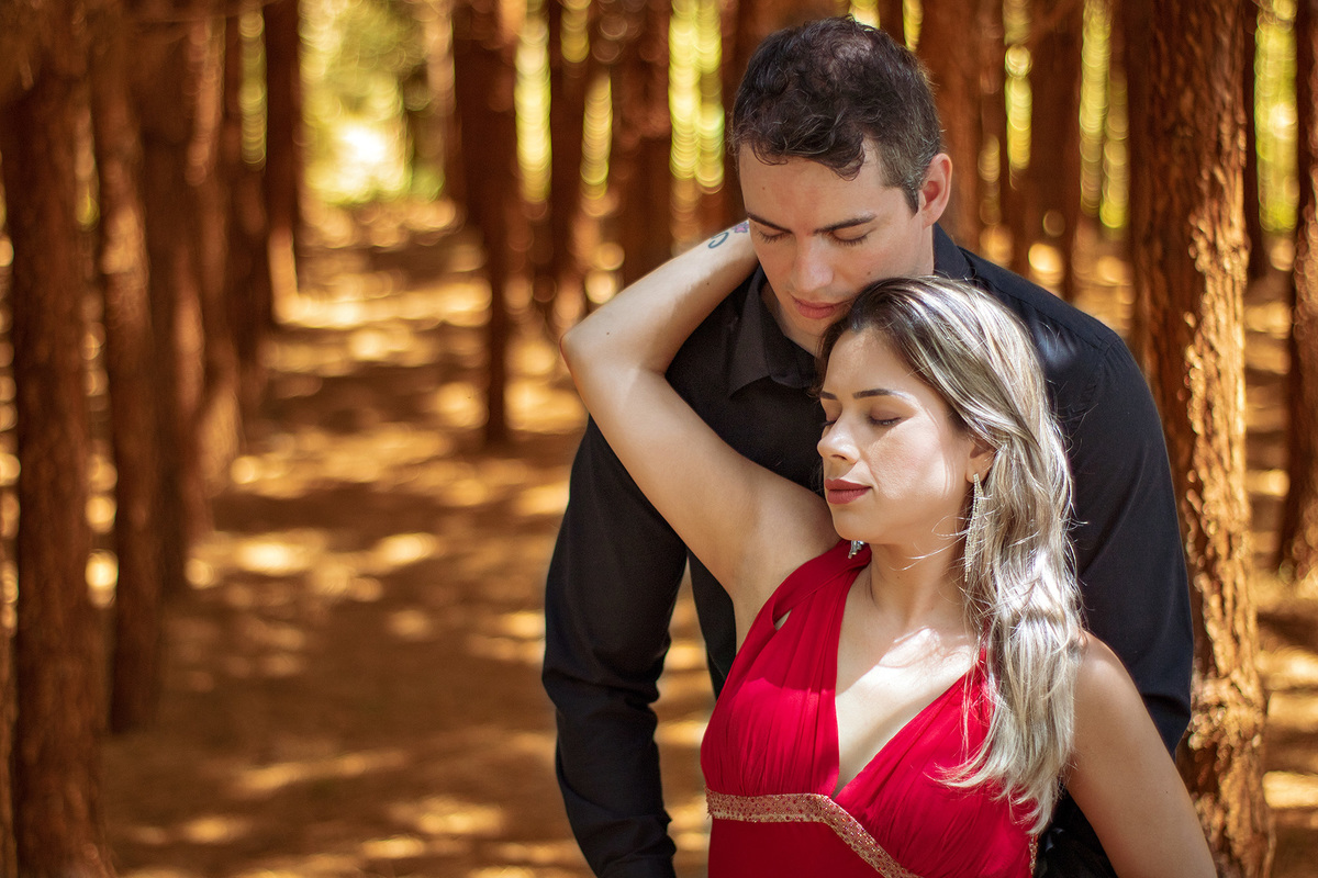 Ensaio pré-casamento plantação de pinus Mallet-PR