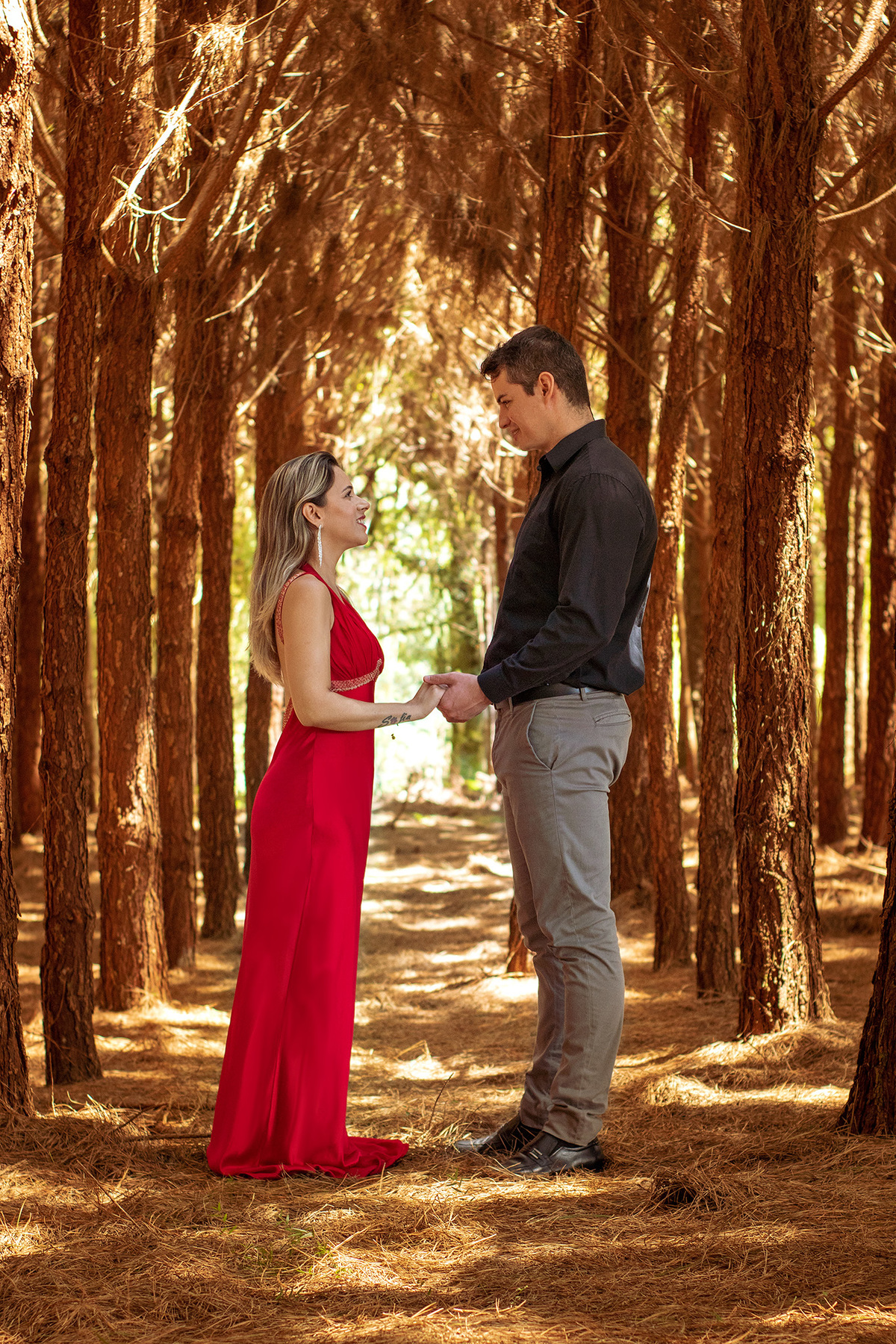 Ensaio pré-casamento plantação de pinus Mallet-PR