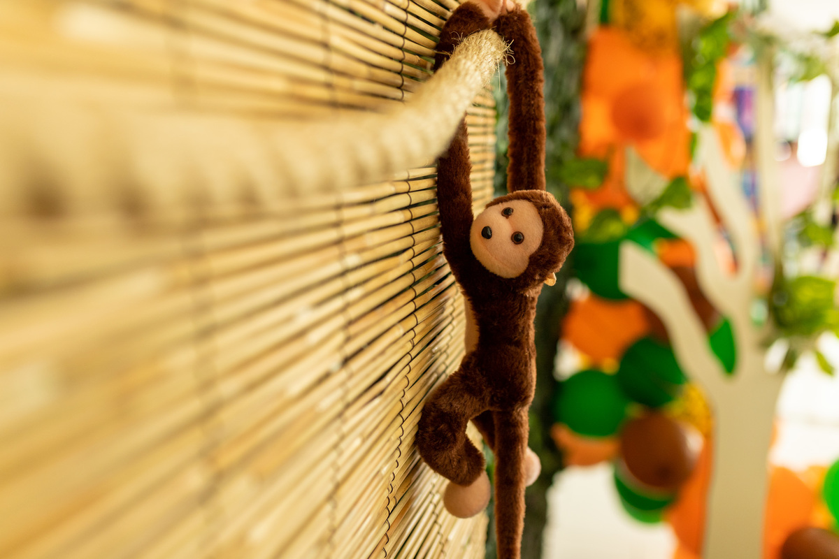 Decoração Safari Aniversário Infantil 1 ano Curitiba-PR