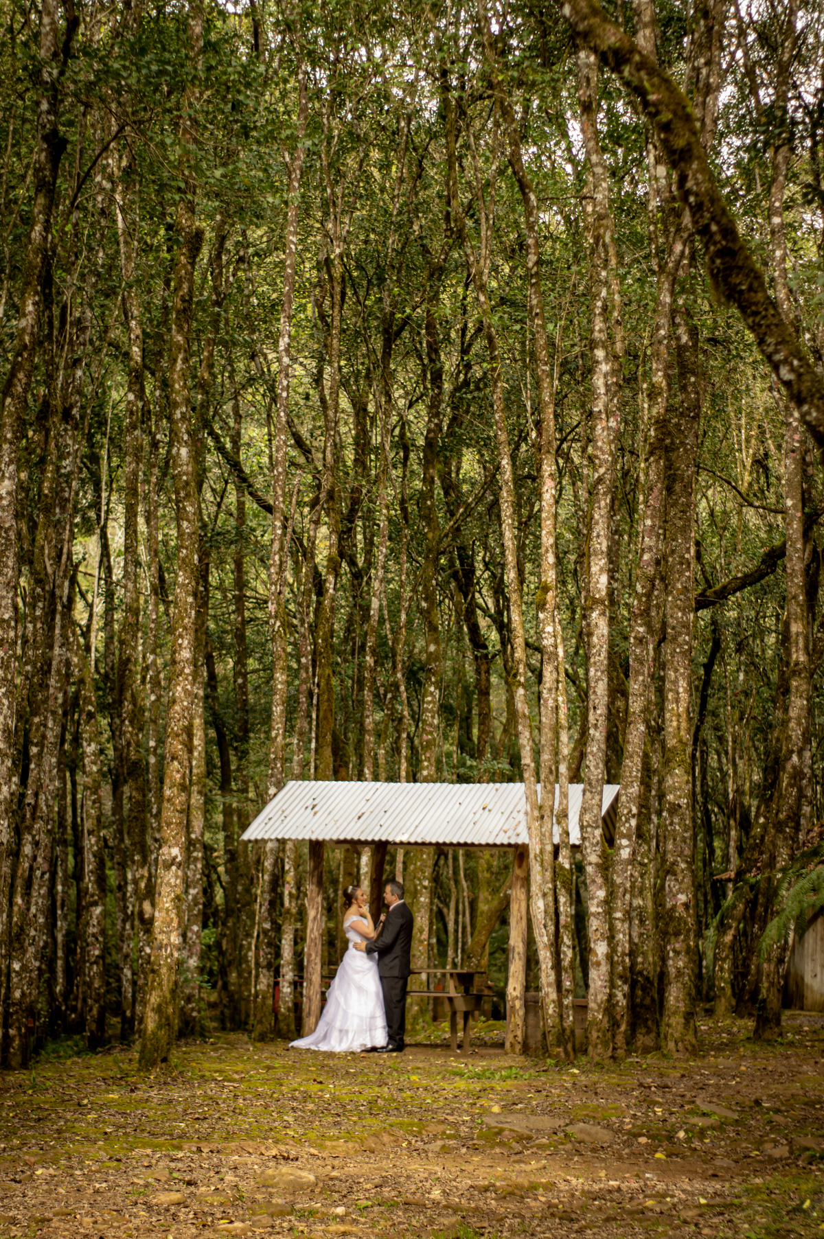 casamento na rua deise e antonio fotografo de casamento em sao leopoldo ensaio wedding em bento gonçalves no caminho das pedras só os dois