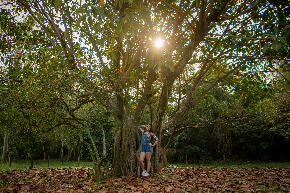 ensaio pessoal de 15th debutante amanda pereira fotografo de debutante 15 anos em sao leopoldo rs casal boeira sol sobre as arvores