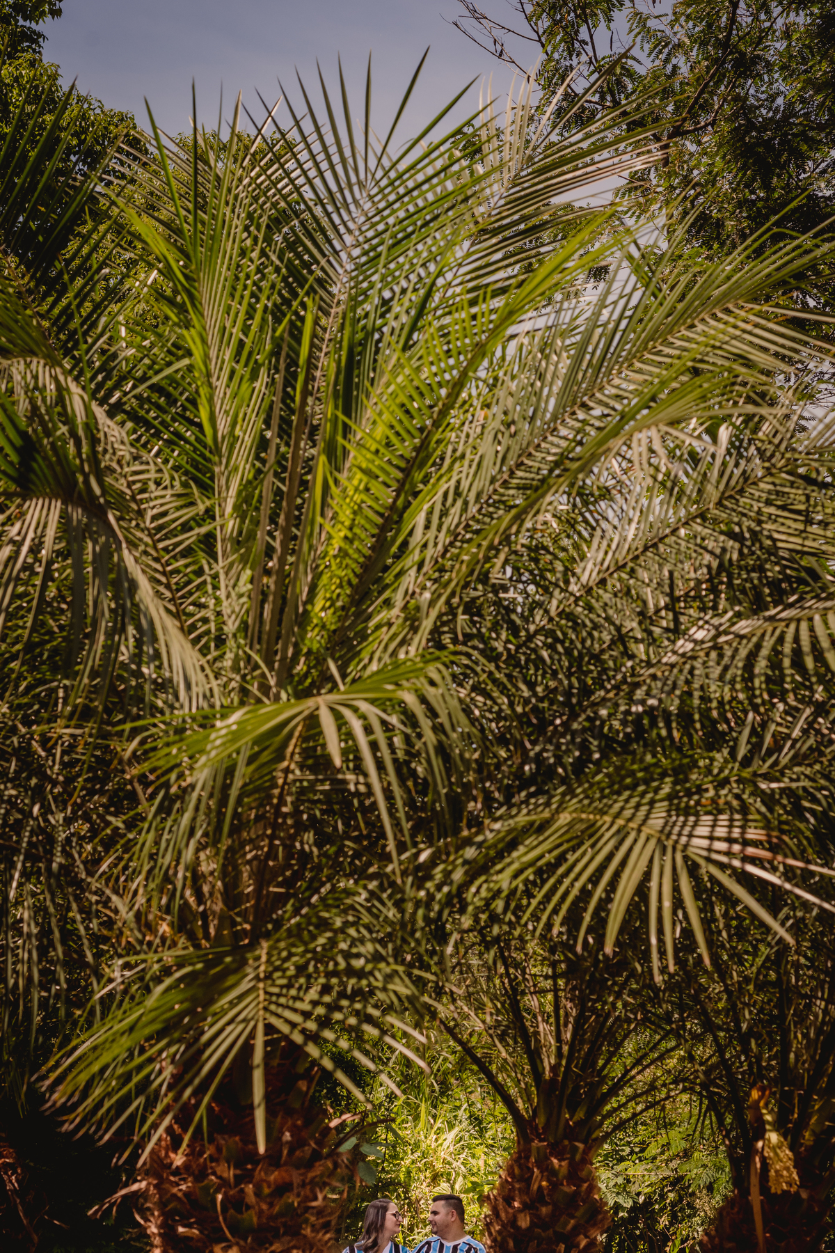 Book de Prova de Toga | Foto de Casal | Foto na Natureza. Fotógrafo de Formatura em São Leopoldo. 
