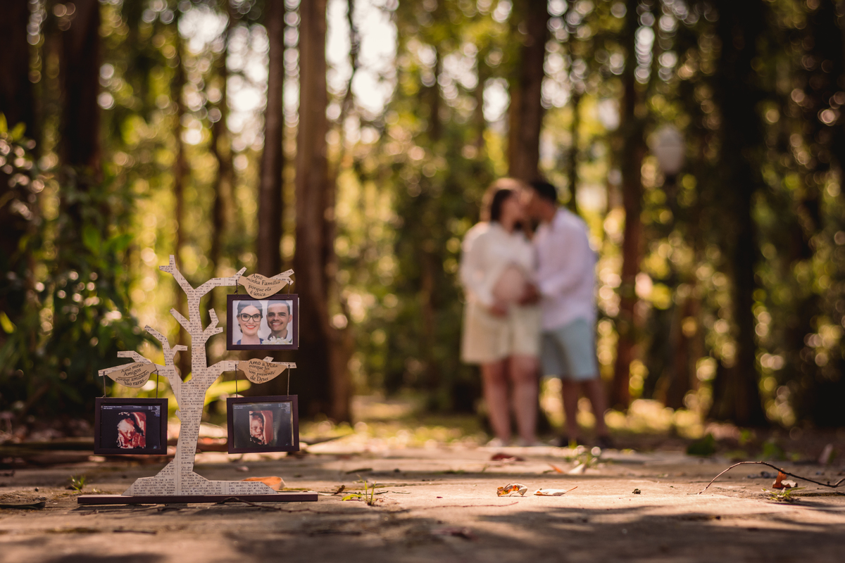 Book de Gestante | Feliz - RS | Fotógrafos de São Leopoldo - RS | Enfeite de Estante | Fotografias | Ultrasom