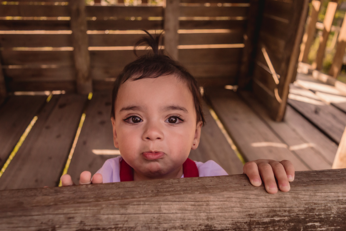 Book de Família fotos em família book na rua book no parcão de novo hamburgo rs fotógrafo de família em são leopoldo rio grande do sul beicinho de bebe na janela