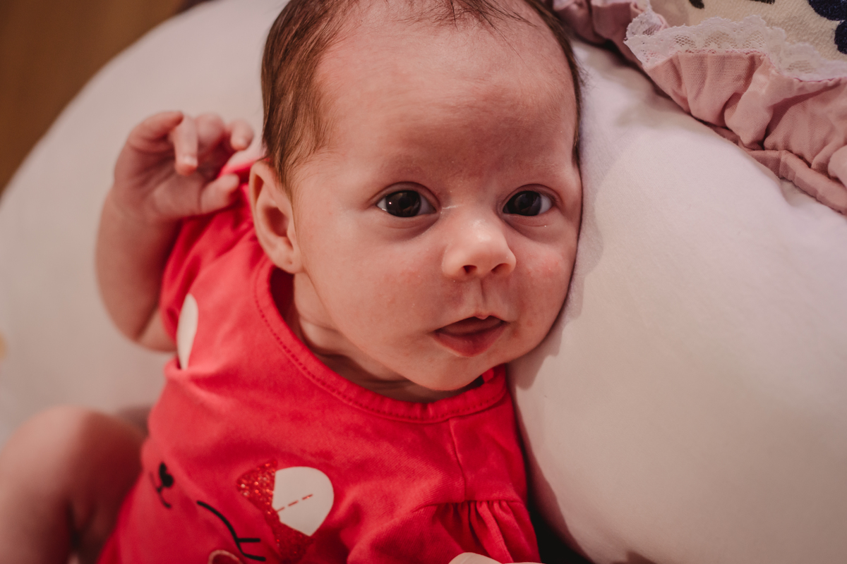 Fotógrafo de Família em São Leopoldo Fotografia em home em casa in-door foto de bebe recém nascido papai de primeirta viagem mamãe de primeira viagem bebe feliz