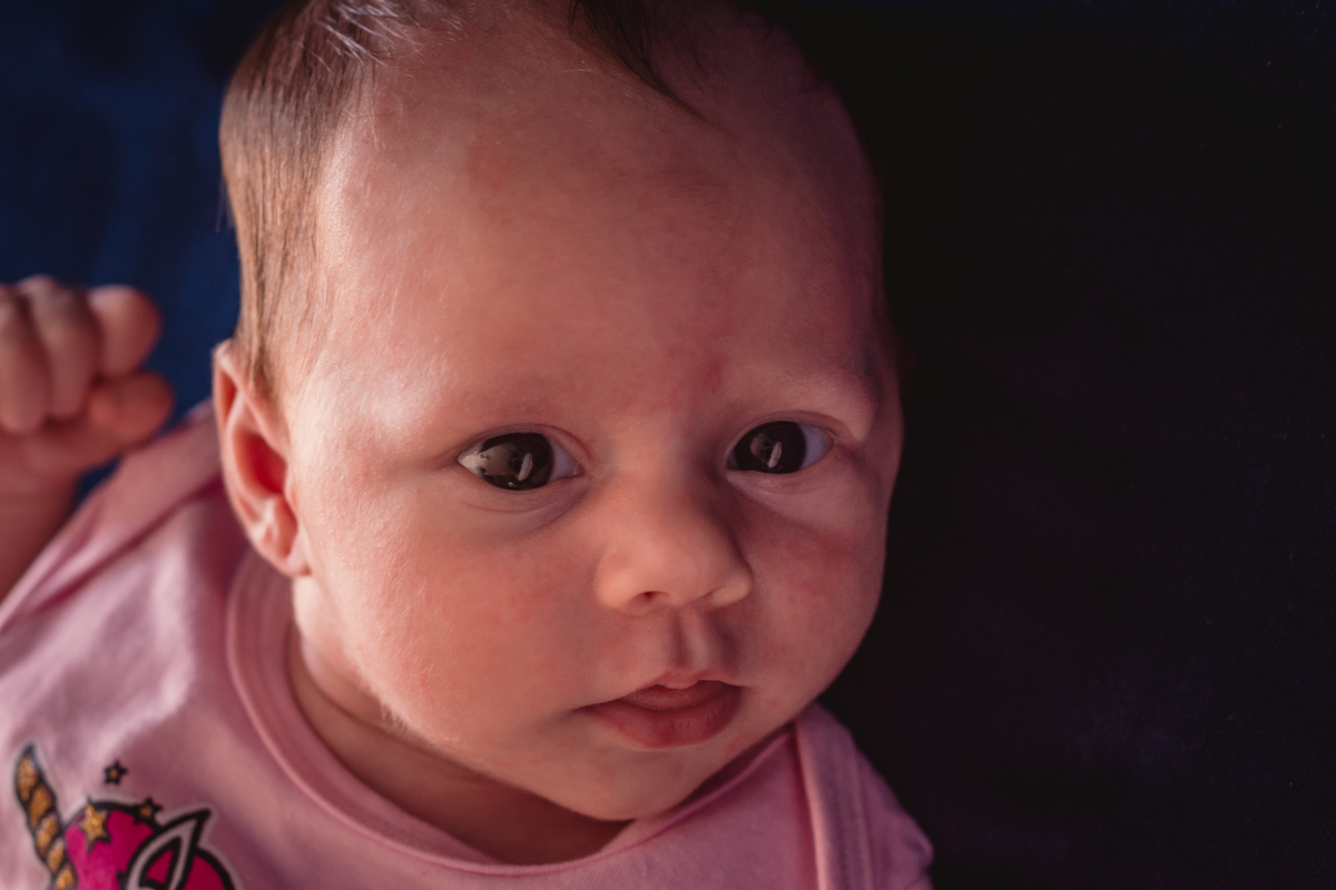 Fotógrafo de Família em São Leopoldo Fotografia em home em casa in-door foto de bebe recém nascido papai de primeirta viagem mamãe de primeira viagem