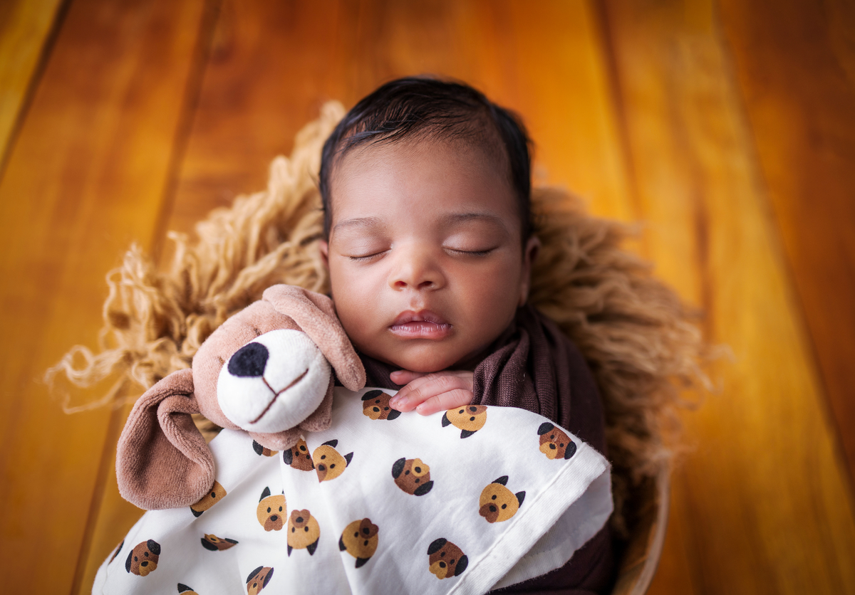 wrap newborn marrom e props balde lenço e cachorro de pelúcia