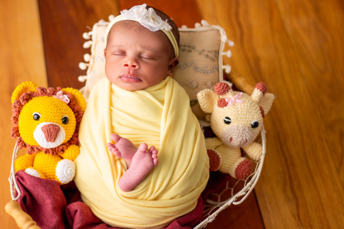 wrap newborn amarelo e props cesta com animais de pelúcia
