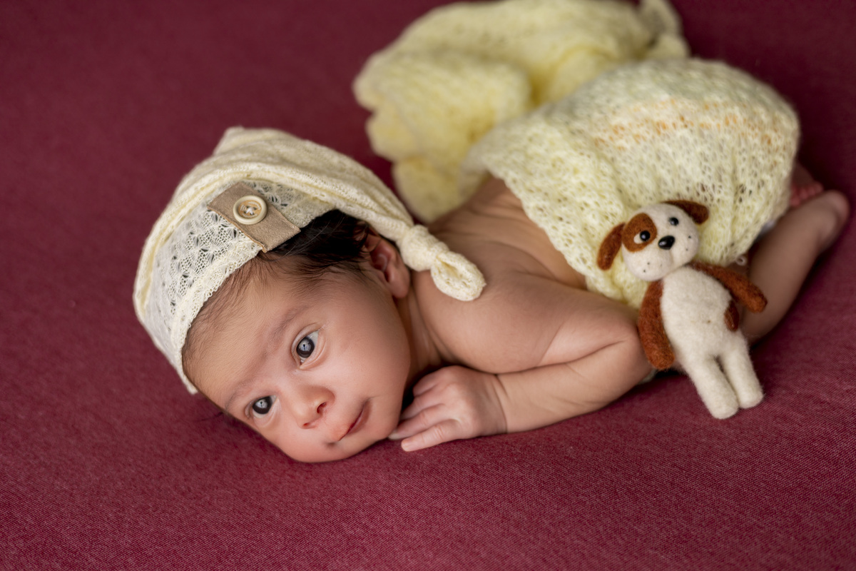 newborn de bruços de gorro e com ursinho