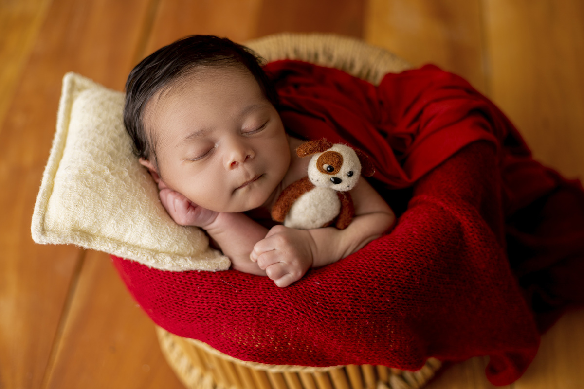 newborn coberto no balde com ursinho