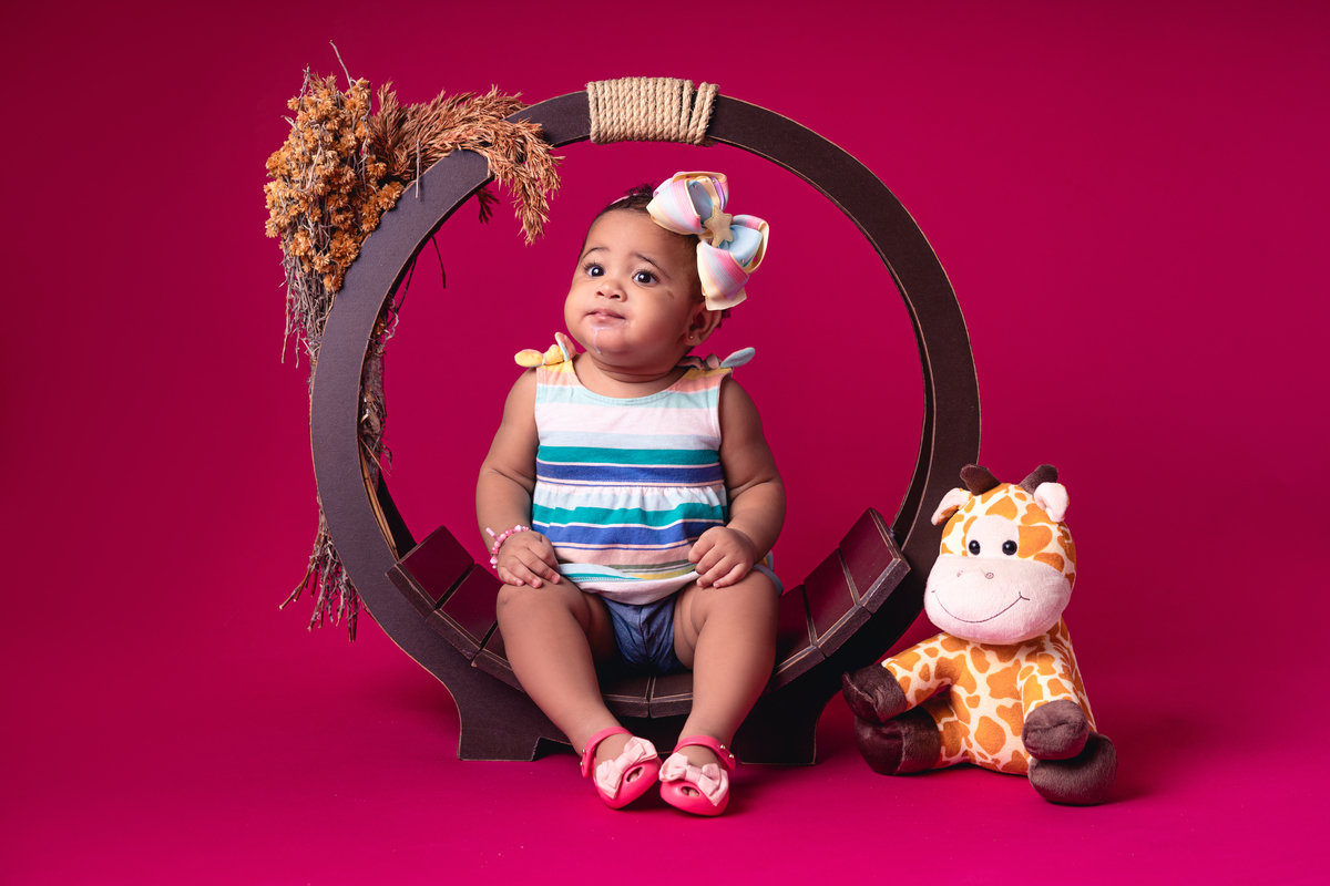 ACOMPANHAMENTO 9 MESES