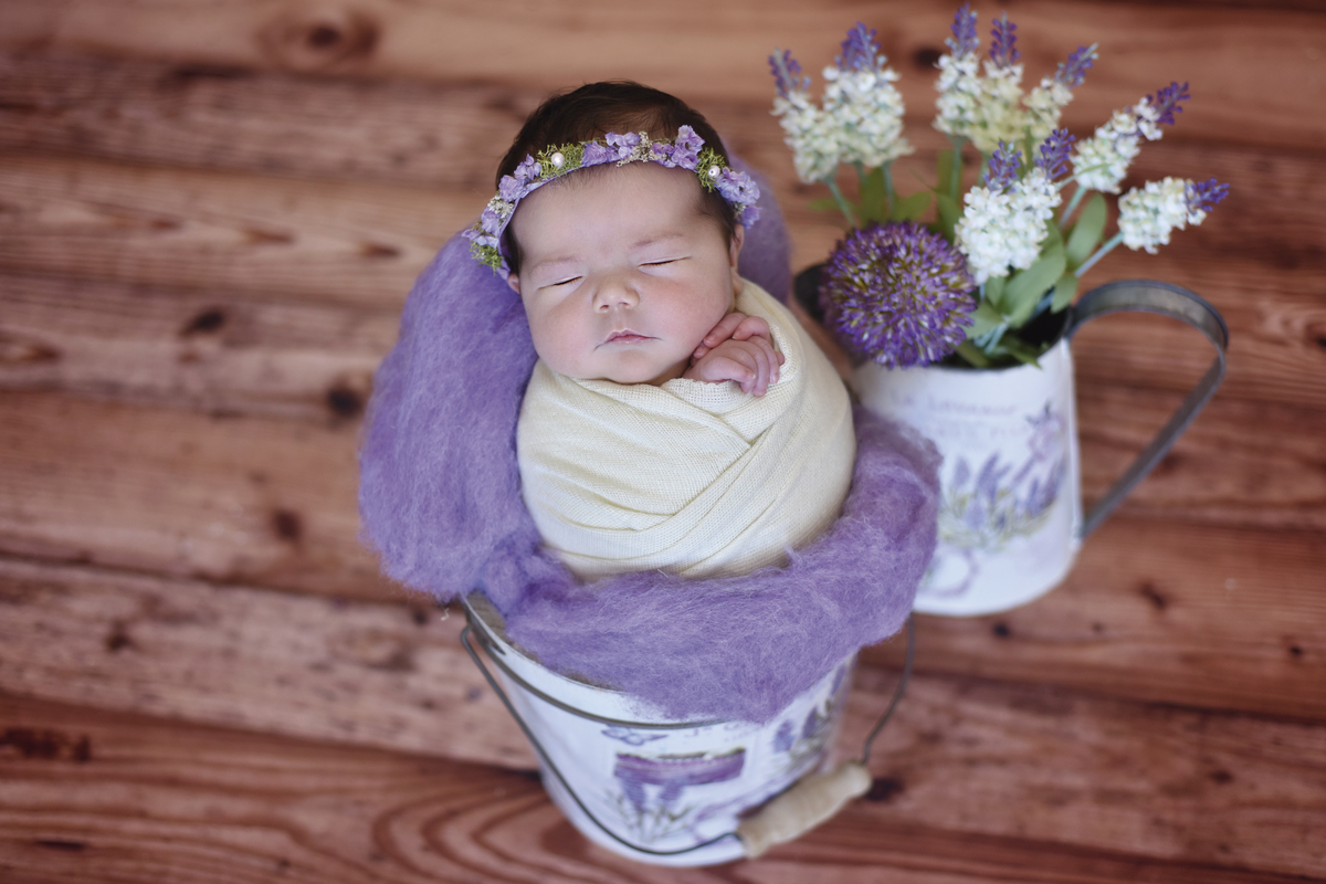 bebenobalde,chaomadeira,enroladinho,bookfotografico,flores