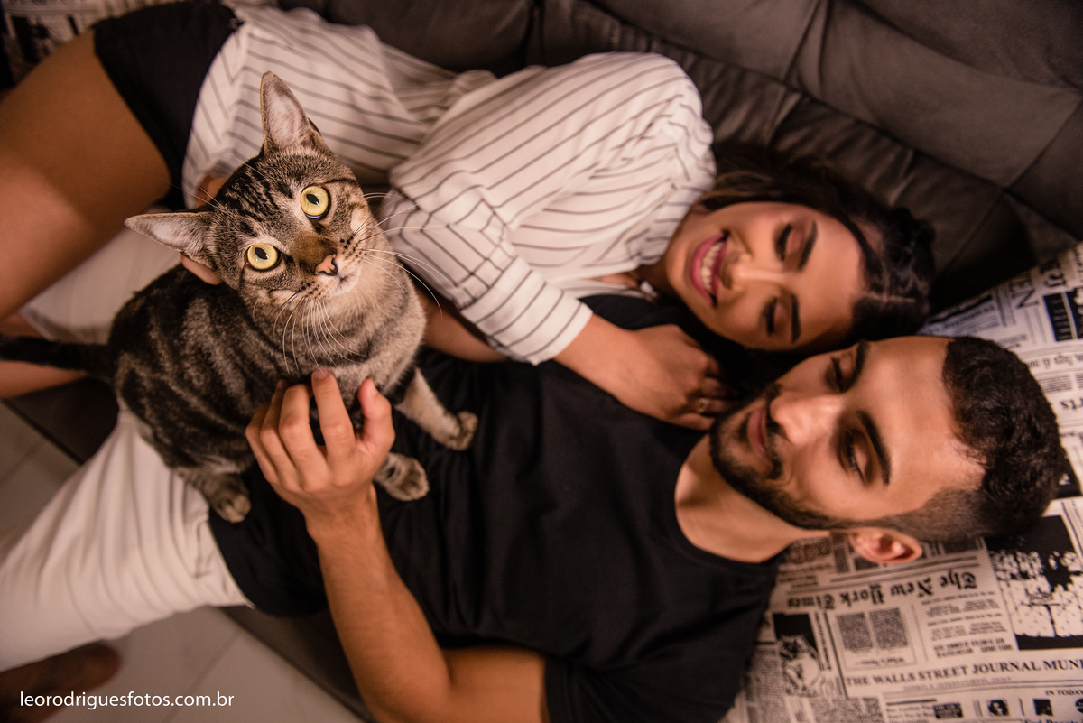 pré wedding com  gato