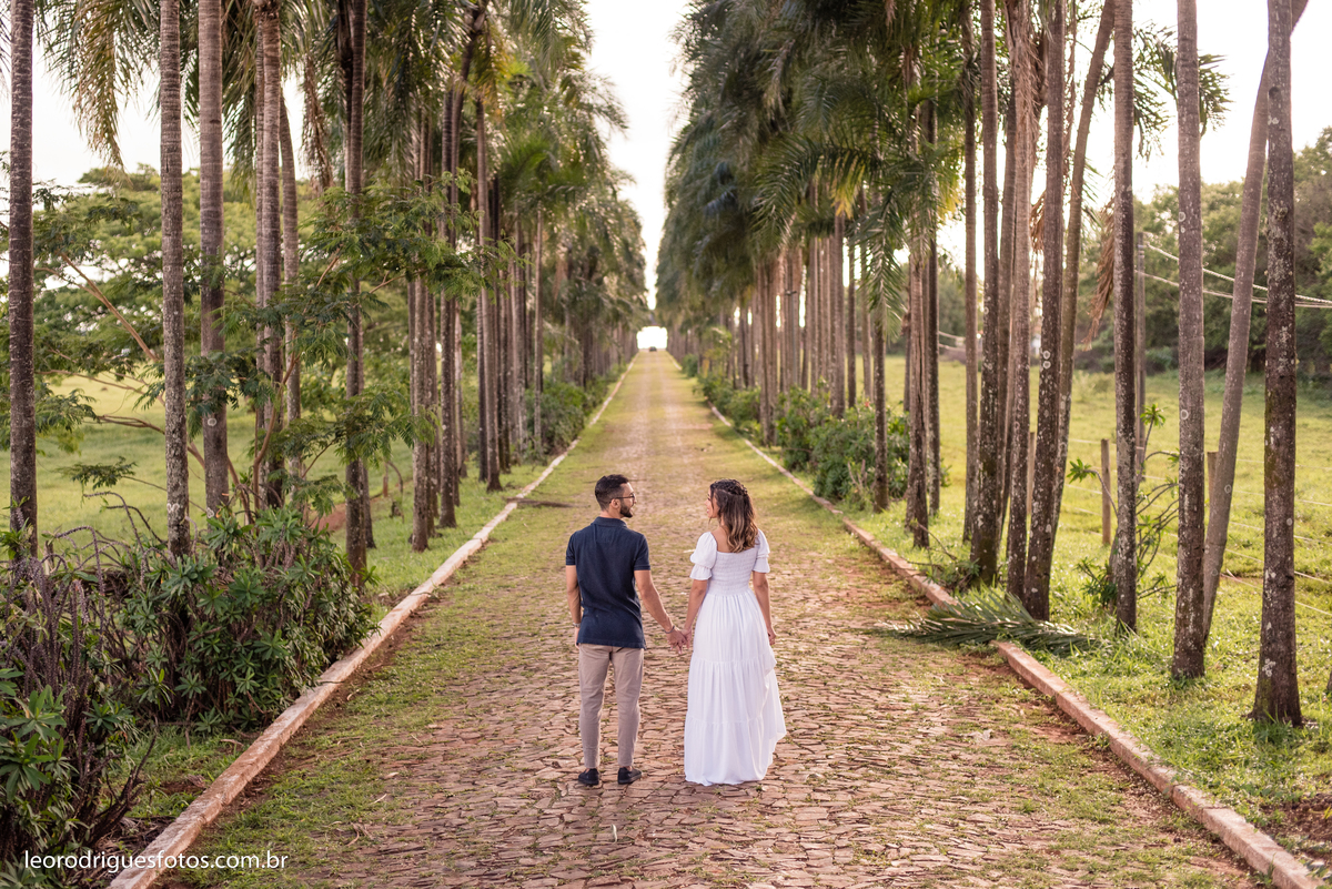 paineirashotelfazendauberabamg