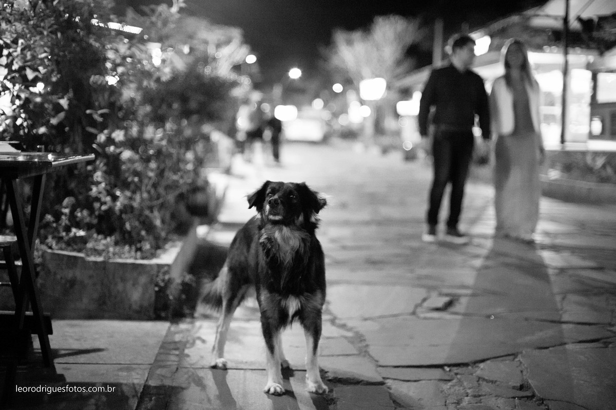 pós casamento, pós wedding, fotos, fotos na praia, praia, rio de janeiro, búzios-rj, búzios, cabo frio-rj, cabo frio