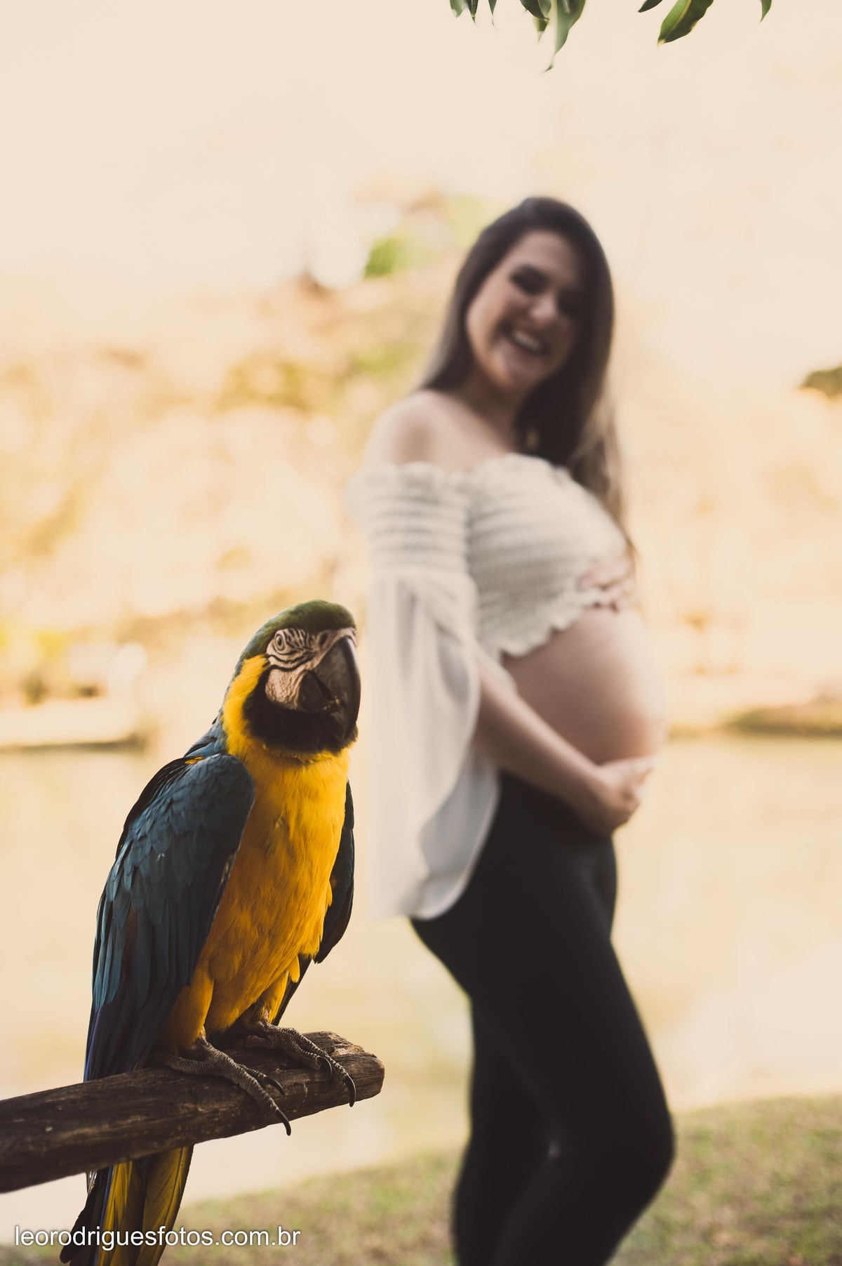Book gestante, gestante, gestação, fotos de gestante, fotos no vale encantado uberaba mg, book de gestante vale encantado, uberaba mg, fotos criativas de gestante, roupas de gestante